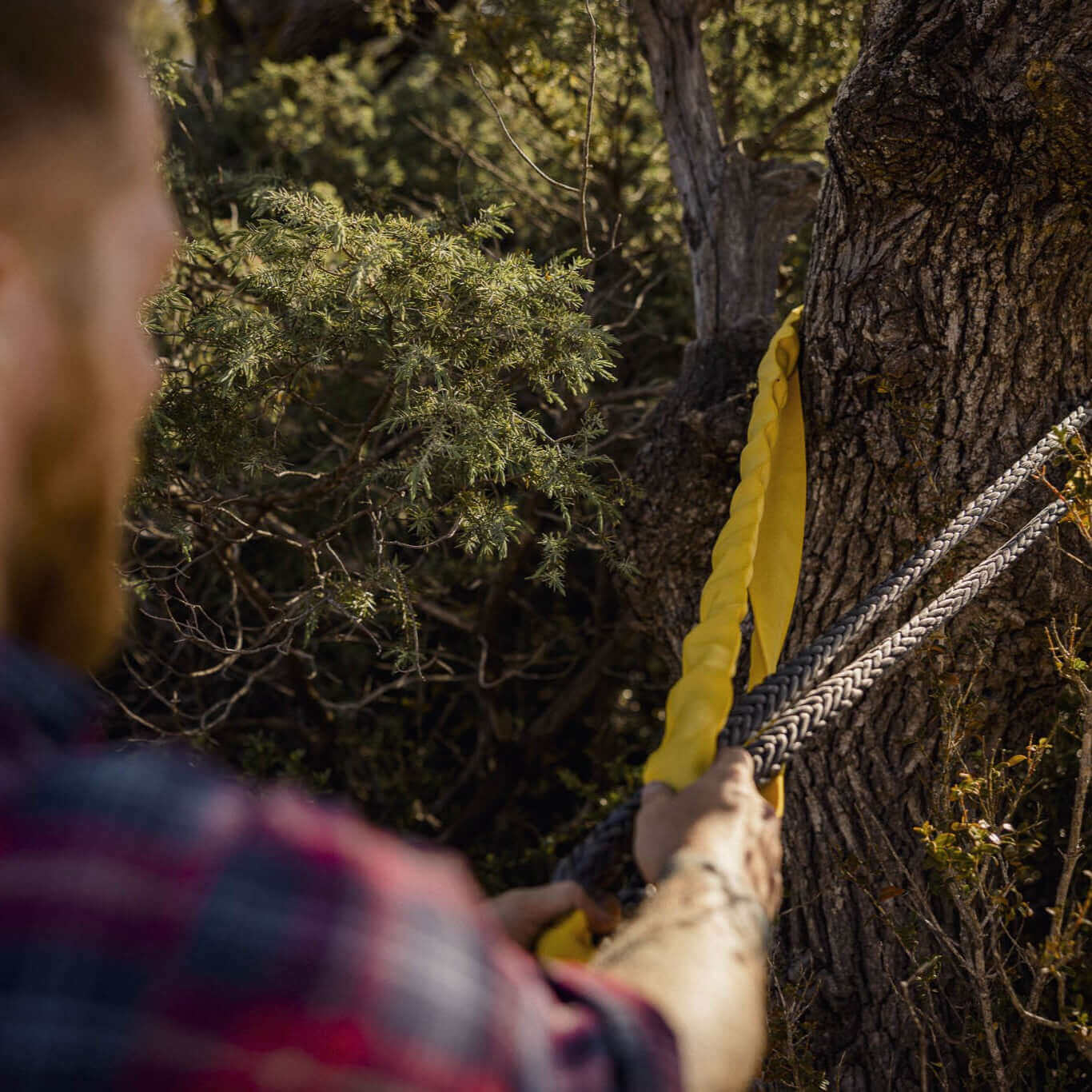 5 m de corde d'extension sangle d'arbre